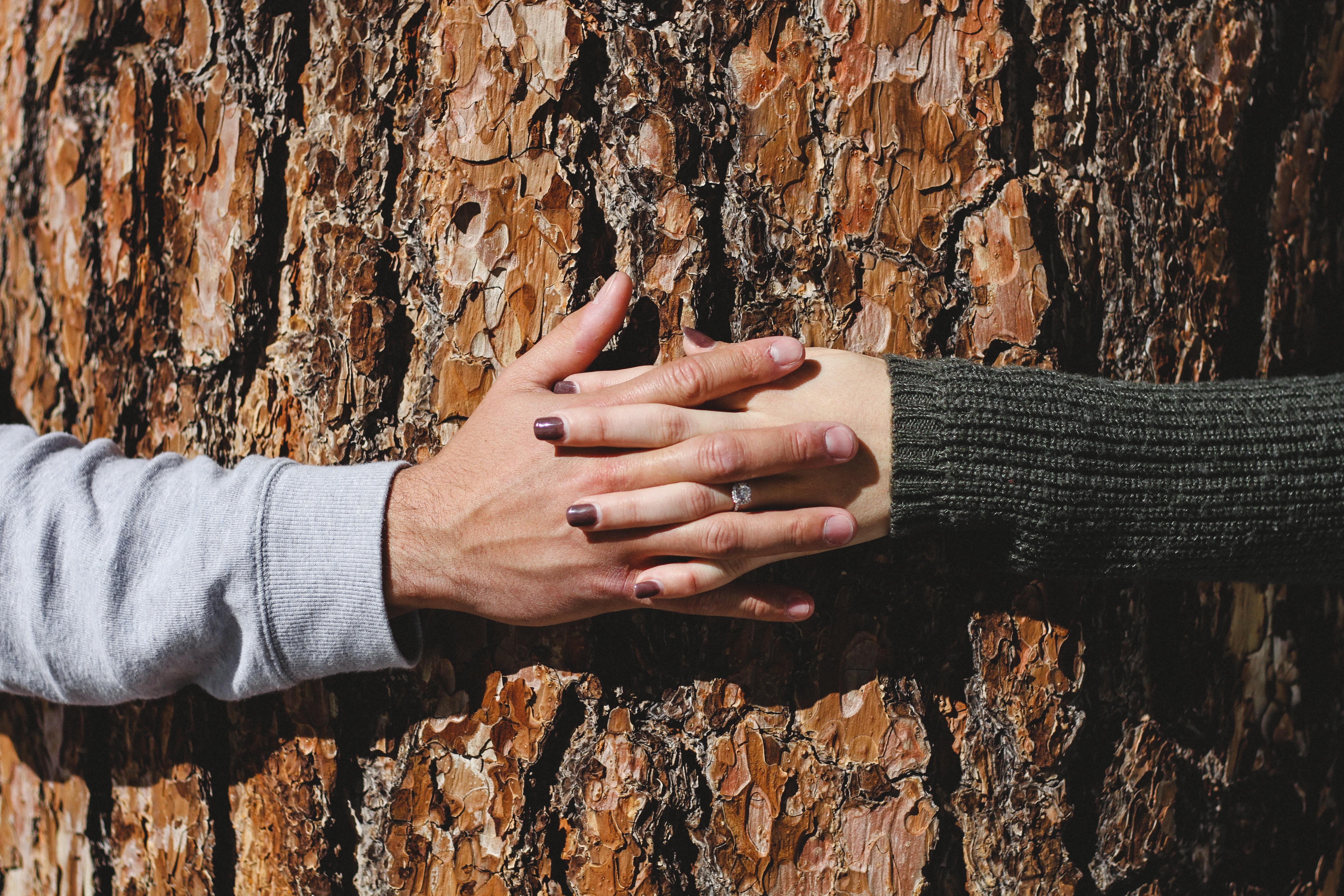 Supportive hands holding a broken heart symbolizing divorce support